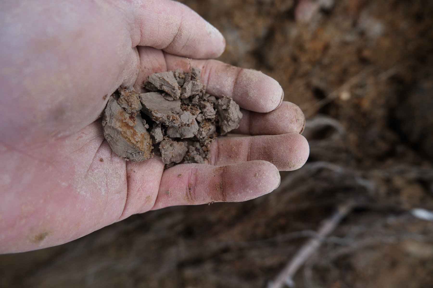 敷地を掘って出てきた粘土を手のひらにのせたところ